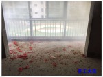 【金贝壳装饰】淮海花园12-2-202