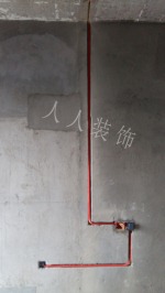 四季金辉